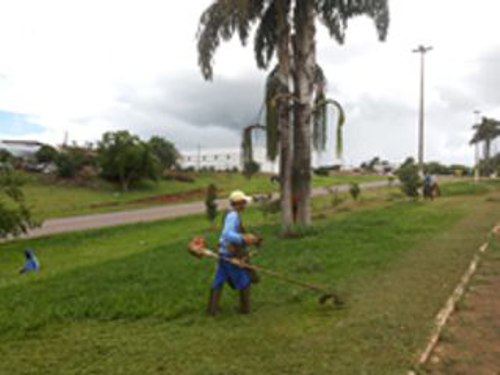 Jardinagem e Paisagismo